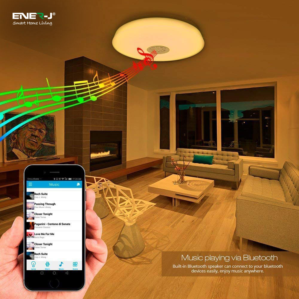 WiFi Ceiling Lights 24W, RGB+W+WW, Dimmable with Bluetooth Speaker