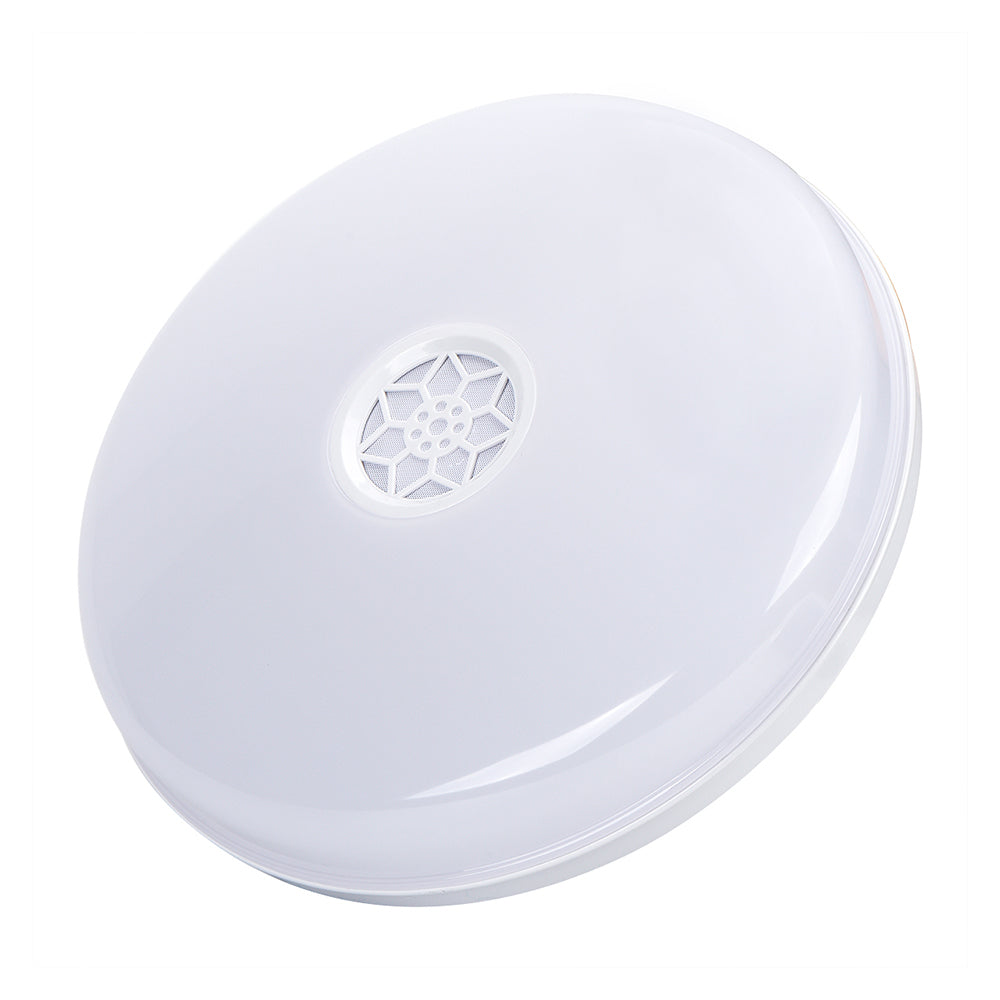 WiFi Ceiling Lights 24W, RGB+W+WW, Dimmable with Bluetooth Speaker