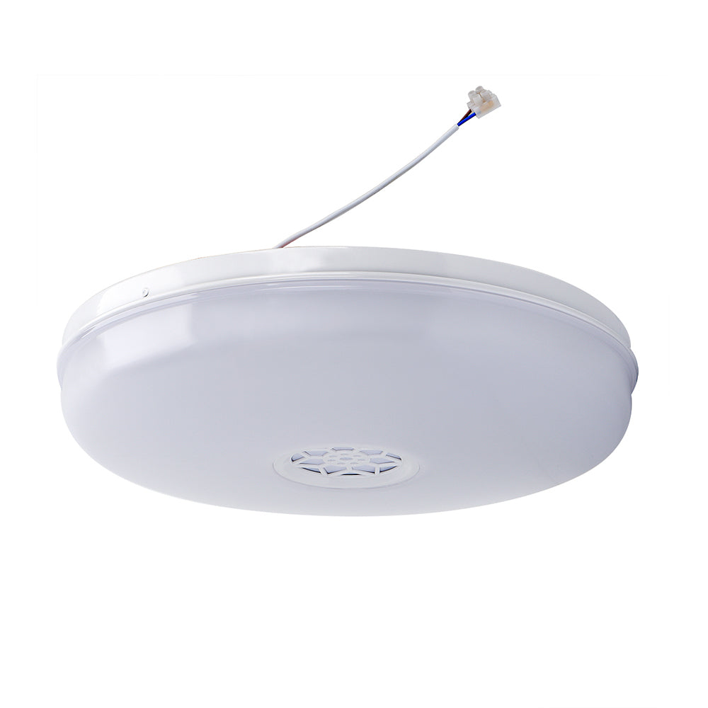 WiFi Ceiling Lights 24W, RGB+W+WW, Dimmable with Bluetooth Speaker