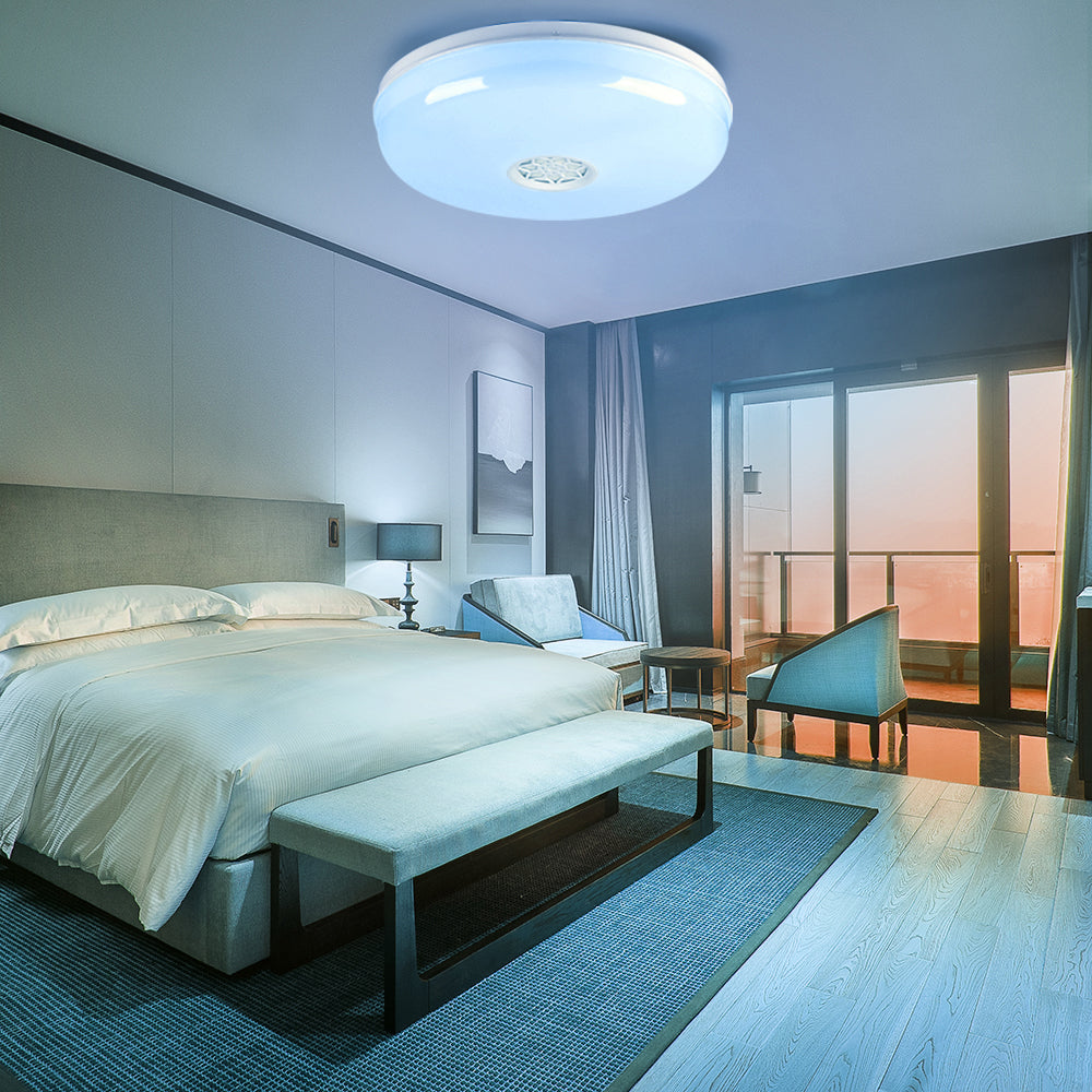 WiFi Ceiling Lights 24W, RGB+W+WW, Dimmable with Bluetooth Speaker