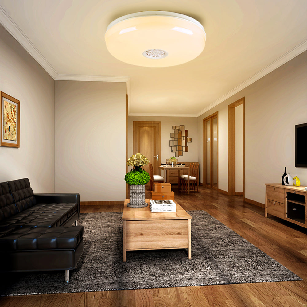WiFi Ceiling Lights 24W, RGB+W+WW, Dimmable with Bluetooth Speaker